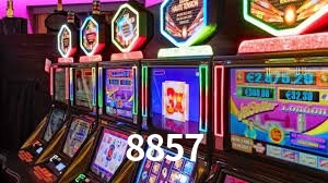 Experiência VIP 8857